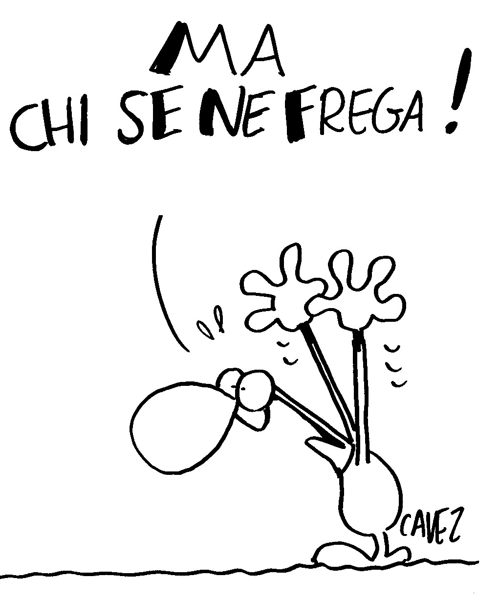 Il Post Di Cui Non Interessa Niente A Nessuno Senzacamice