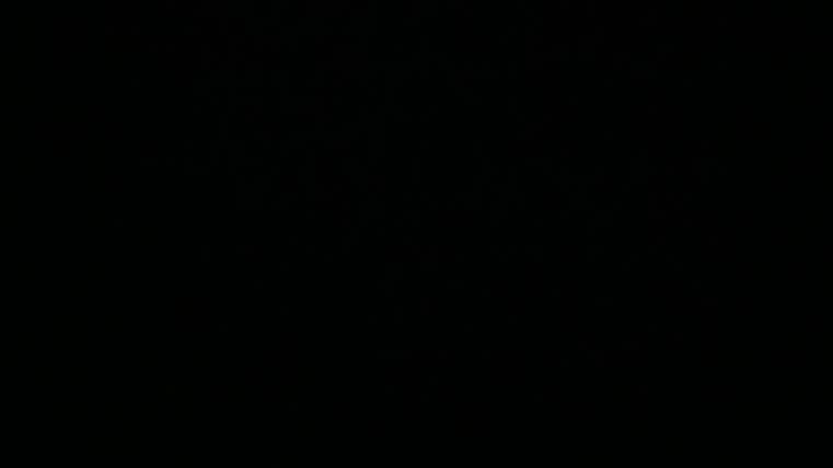 vvvv