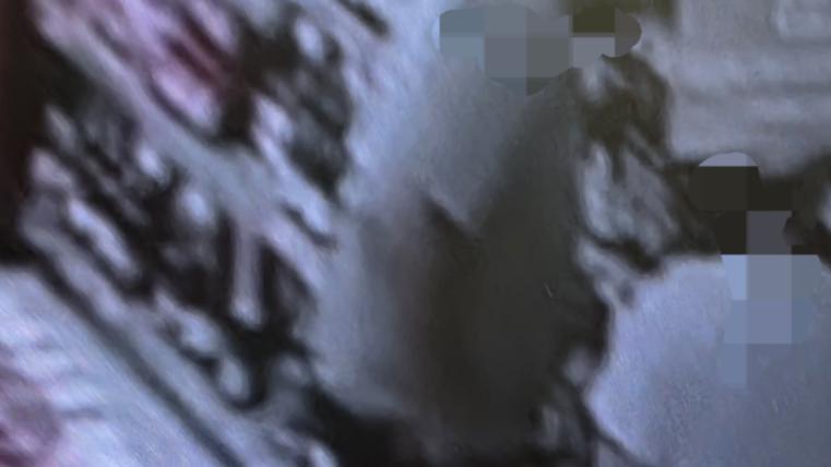 gggg
