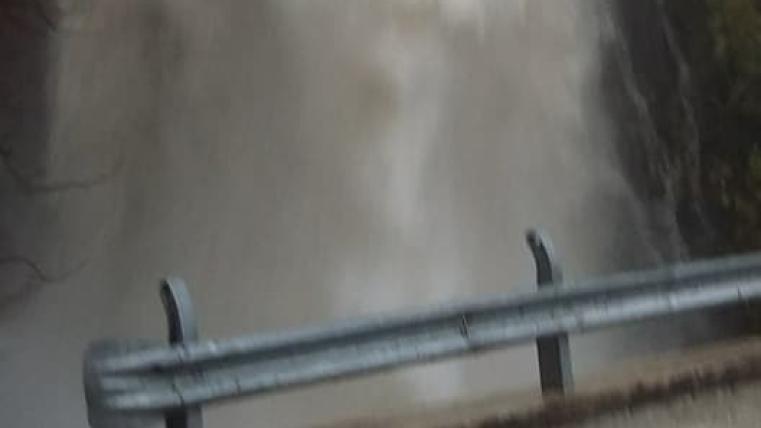 ffddfffdf