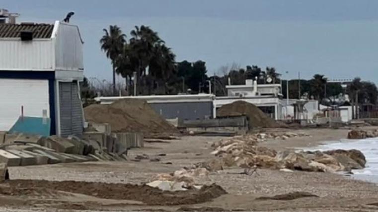 trtrtrtrtrtrtrtrtrttrtrtr