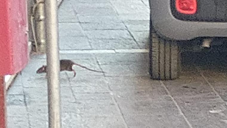 ttttrtrtrtrtrtrtrtrtrtrtrt