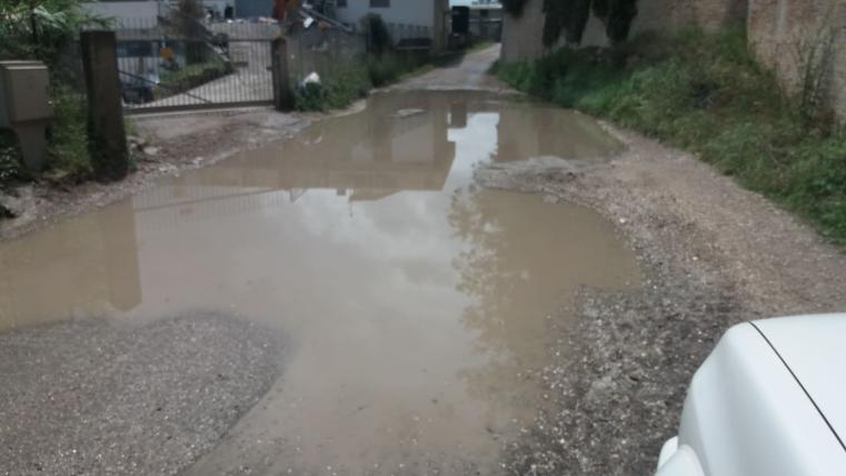 secciola