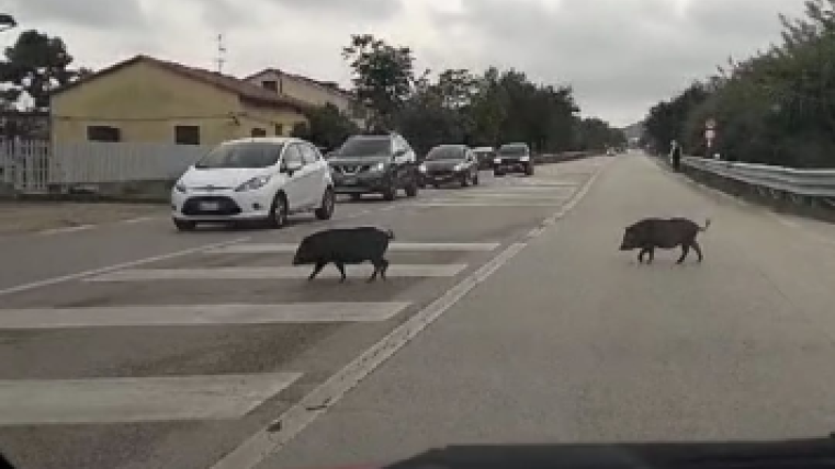 fdfdfdfdfdfdfdfdfdfdf