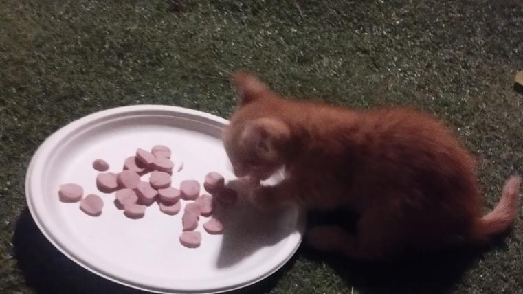 gĥh