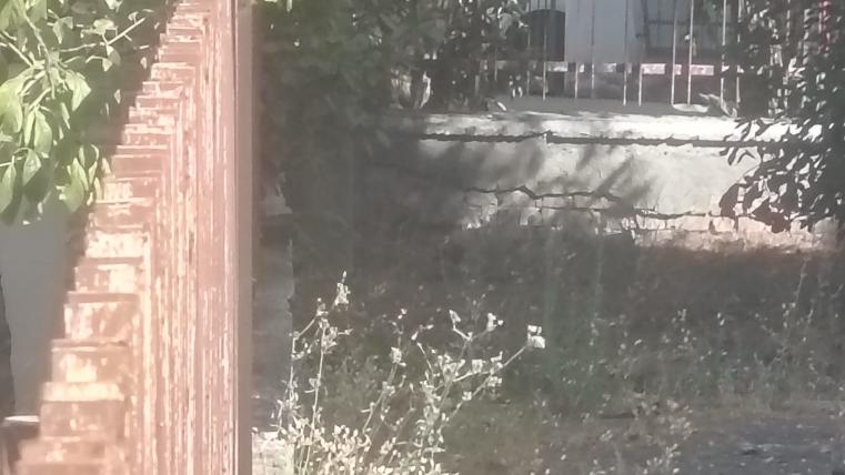 hhhhhh