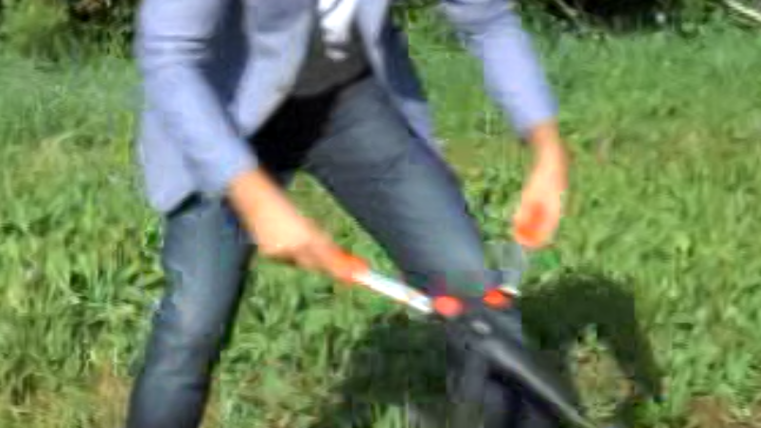 Fonte BAiano Giancarlo Falconi