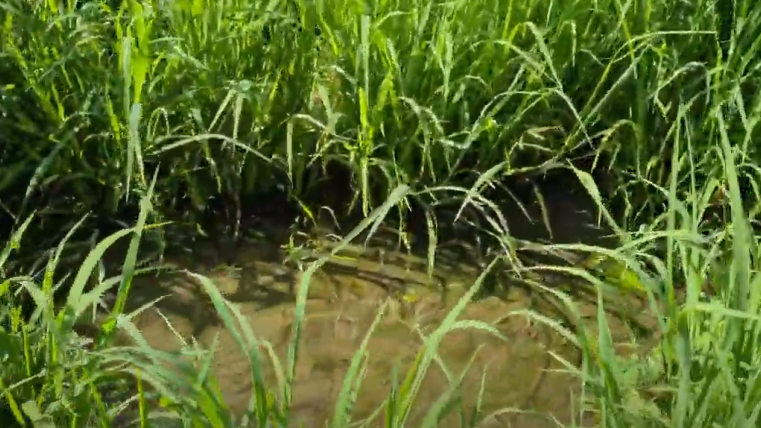 ytyuytytuytuytutyutyutyutyutyuyuyuyuyuyuyu