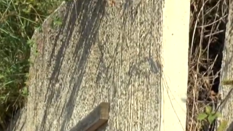 provinciale per campli