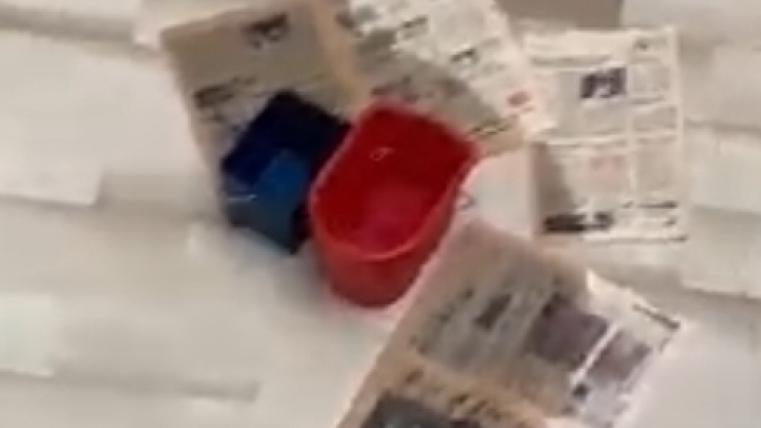 Video. Piove all'interno del Pascal. Interviene la Provincia... | I Due  Punti
