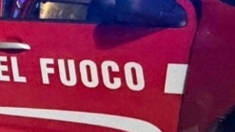 dddd