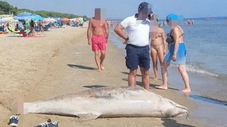ghhhh