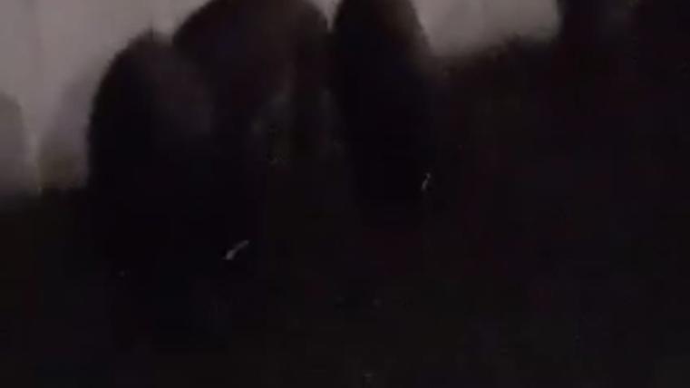 ffdfdf
