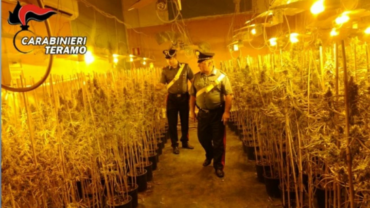 Marijuana Civitella del Tronto